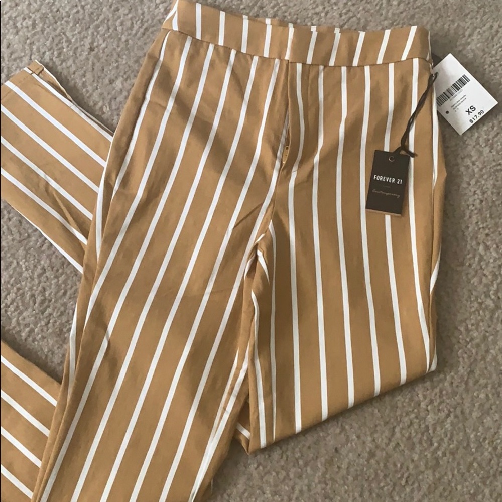 Dress pants